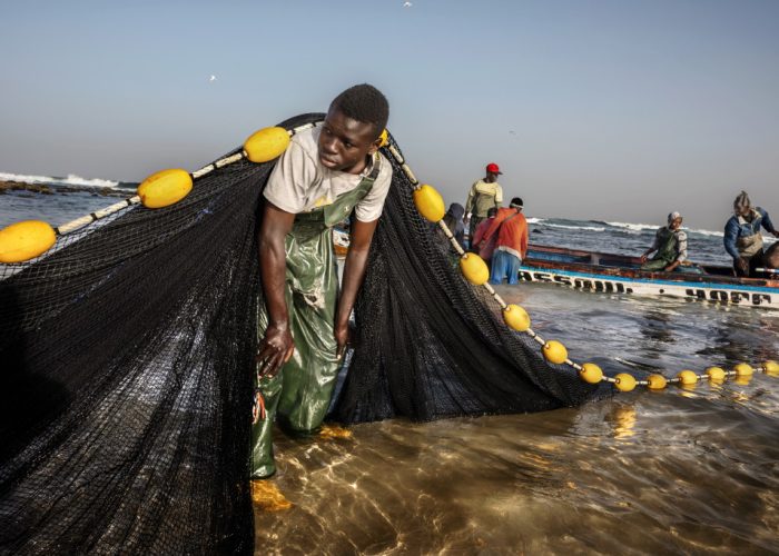 LCG_fish_Senegal02