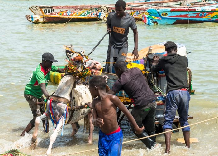 Senegal-Somonne-pecheurs-juin-19-africaprotravel-Pierre-Forlin-36-2