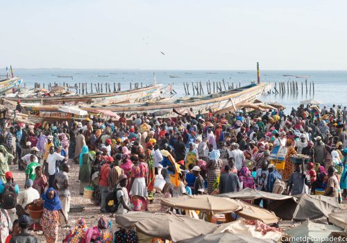 Arrivée des Pêcheurs de Mbour